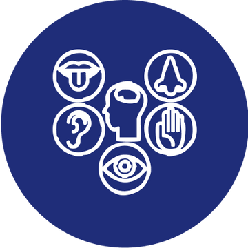 Sensory Development
