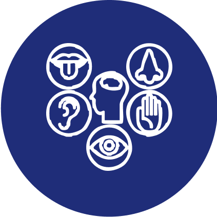 Sensory Development