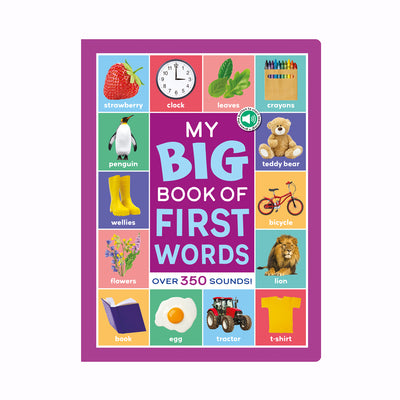 Multi Sensor Sound Books -  My Book of First Words