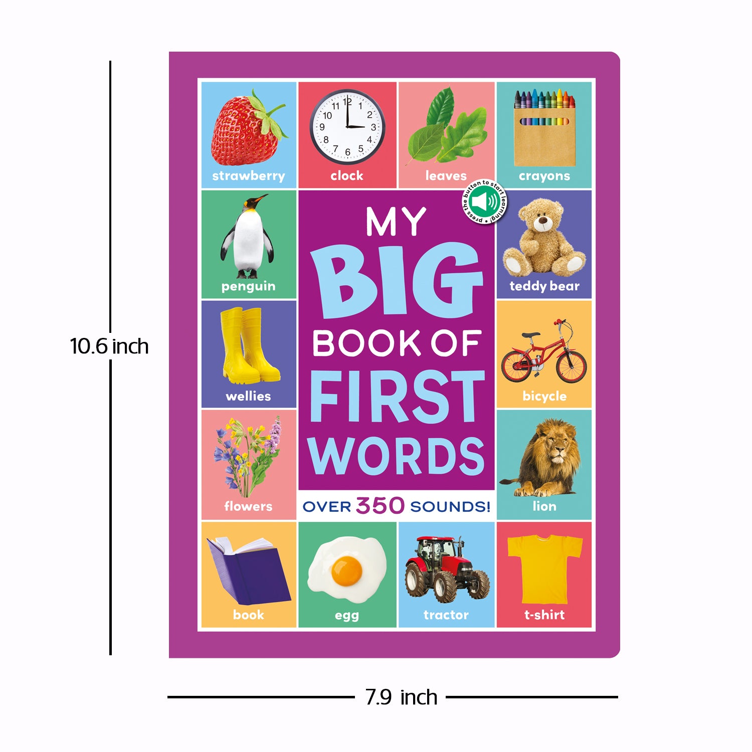 Multi Sensor Sound Books -  My Book of First Words