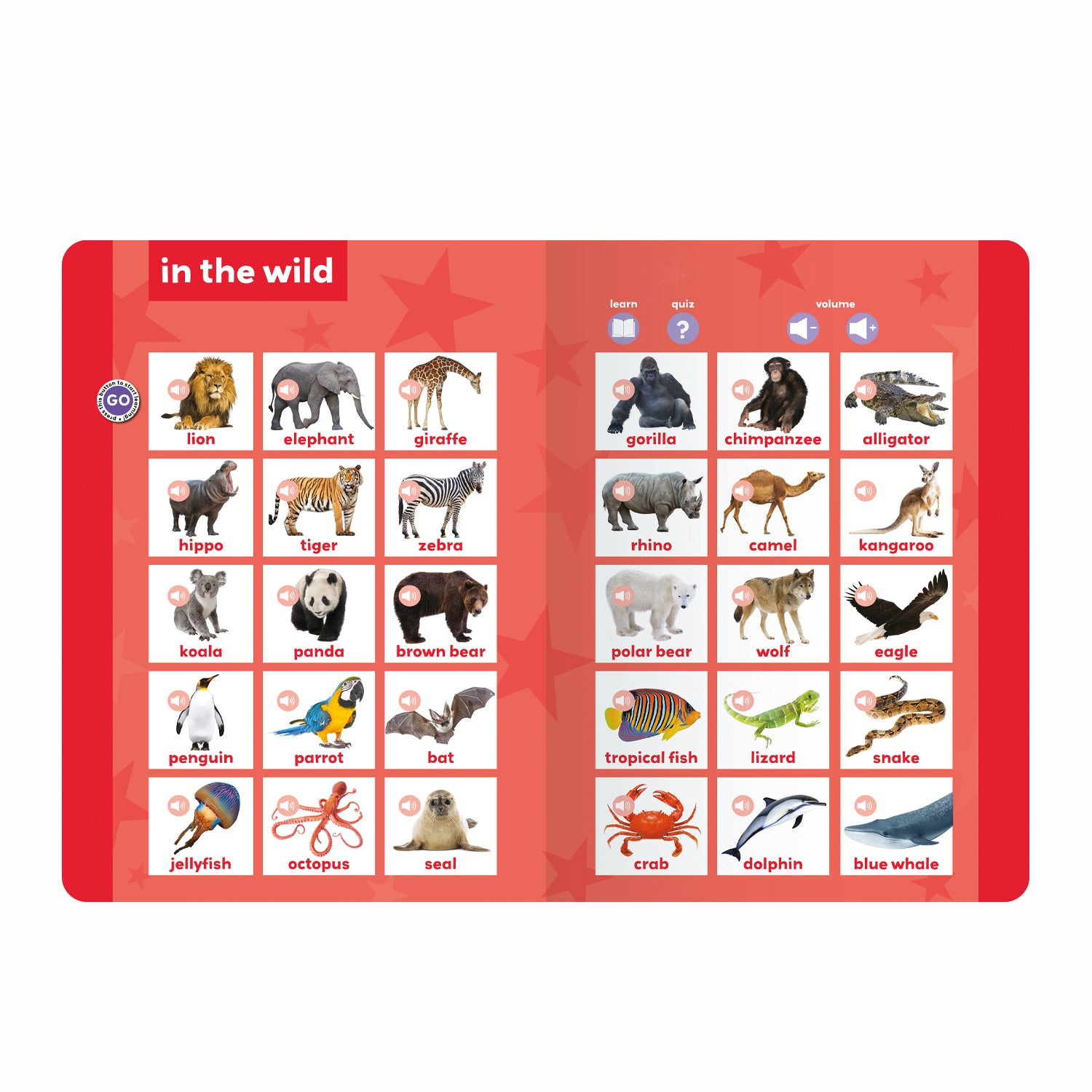 Multi Sensor Sound Books - My Learn to Read