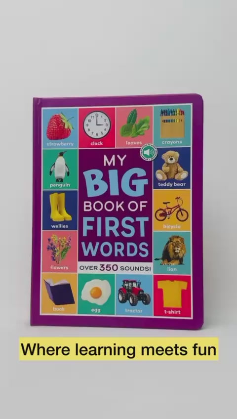 Multi Sensor Sound Books -  My Book of First Words