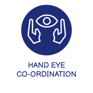 <b>Hand-Eye Coordination:</b> Training eyes & hands to work in perfect harmony.